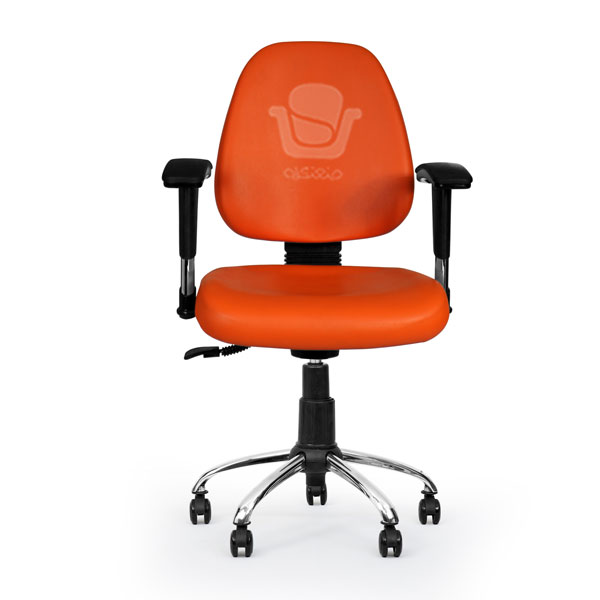 صندلی آزمایشگاهیD504F
