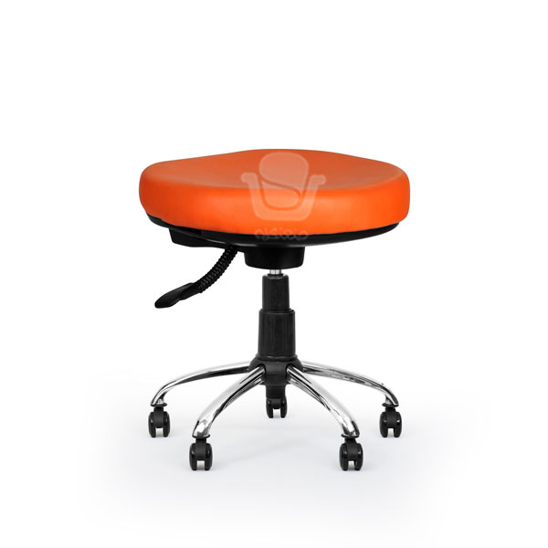 صندلی آزمایشگاهی D.L106