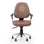صندلی آموزشی D504P